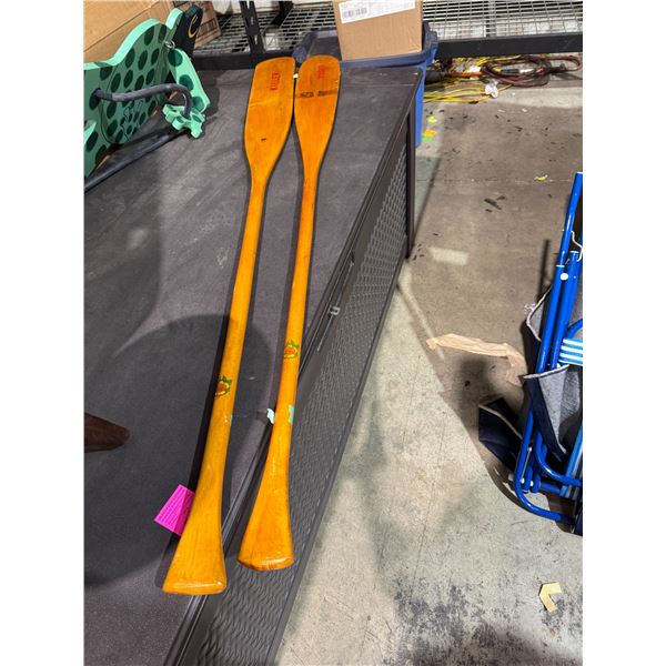 Chestnut canoe, Company, Canada, oars