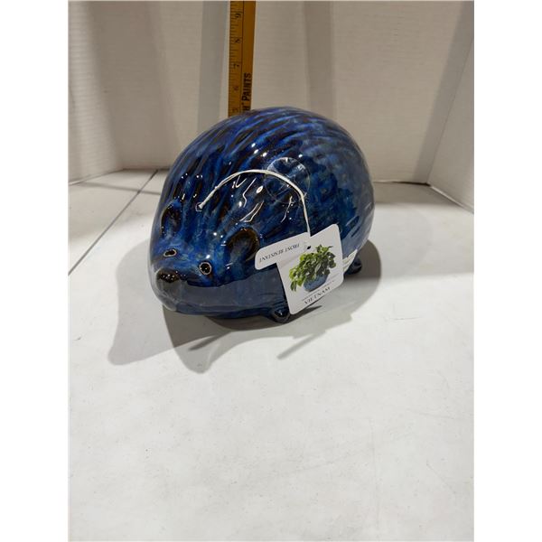 Hedgehog, frost resistant