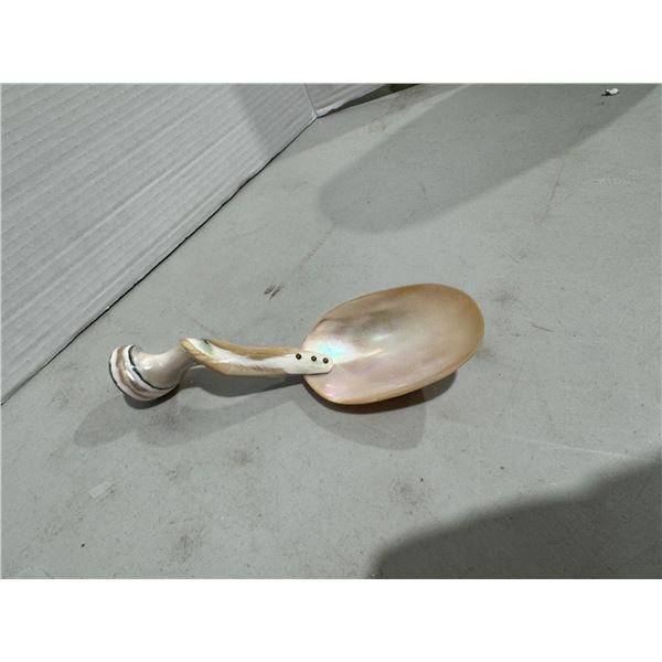 Spoon made from shell