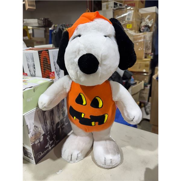 Halloween themed dog