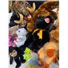 Image 3 : TY beanie babies
