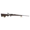 Image 1 : Winchester M70 Featherweight 243 Win 22" Barrel No Sight Wood Stock Bolt Action Rifle