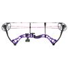 Image 1 : Diamond Prism Compound Bow RH 5-55# Purple