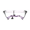 Image 1 : Diamond Atomic RH 29# Purple Compound Bow