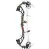 Image 1 : PSE Bow Madness M2 29" 70# LH
