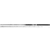 Image 1 : Daiwa Oversized Accudepth 9'6" Heavy 2-Piece Trolling Rod