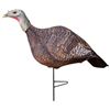 Image 1 : Primos Photoform Hen Turkey Decoy