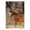 Image 1 : Birchwood Casey Pre-Game Targets Whitetail Deer 3 16.5" x 24" Reactive Targets