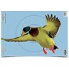 Image 1 : Birchwood Casey Pre-Game Targets Duck 8 12" x 18"