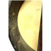 Image 8 : Early 20th C. Vellum Banjo