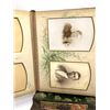 Image 11 : Victorian Celluloid Vanity Photo Album on Stand