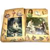 Image 1 : Early 1900s Antique Colorful Photo Scrapbook