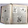 Image 8 : 1889 Swedish Family Bible - Den Heliga Skrift