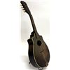 Image 4 : Supertone Mandolin, Model 768
