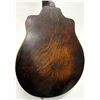 Image 7 : Supertone Mandolin, Model 768
