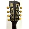 Image 9 : Supertone Mandolin, Model 768