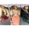 Image 9 : New Old Stock Large Vintage Doll Lot