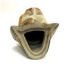 Image 6 : Antique Alpine Tyrolean Hat Figural Humidor