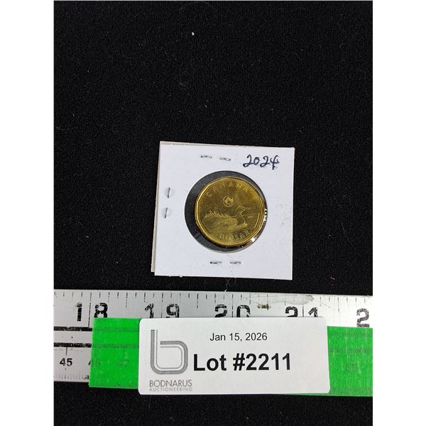 2024 Canadian $1 (Loonie) Coin - Collectible