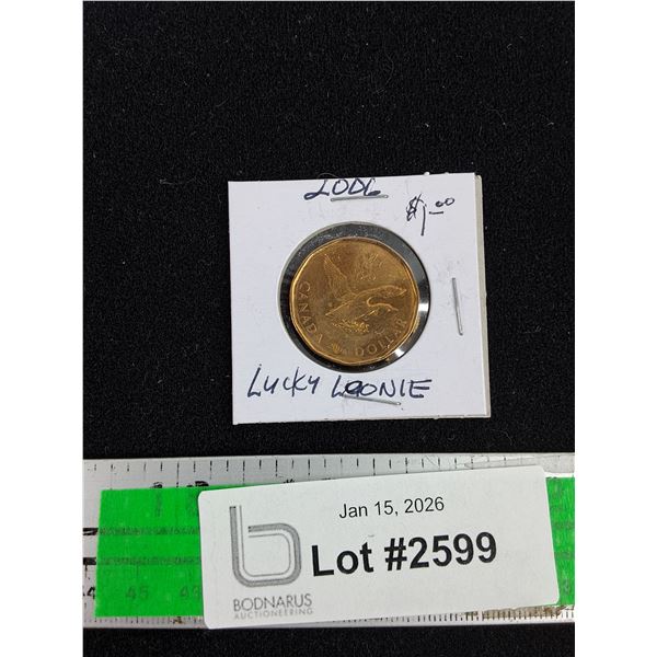 2006 Canadian 1$ ( Lucky Loonie) Coin - Collectible