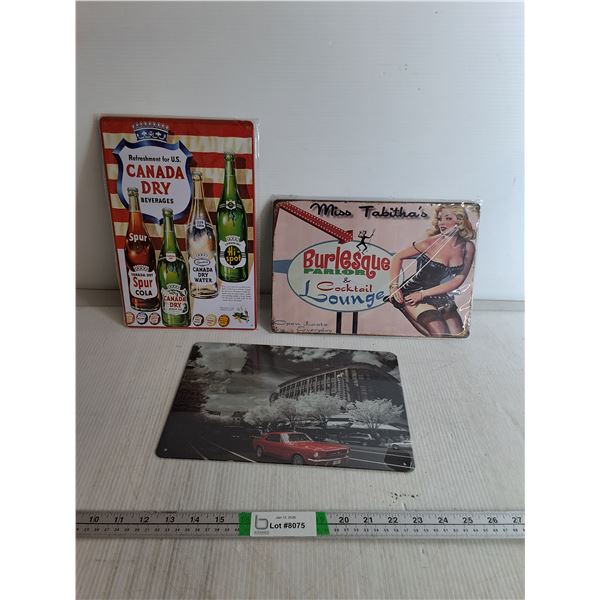 (3) Metal Garage Signs- Canada Dry, Miss Tabithas, 12" x 8"
