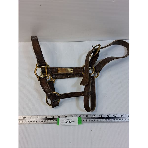 Leather Horse Halter w/Brass Hardware