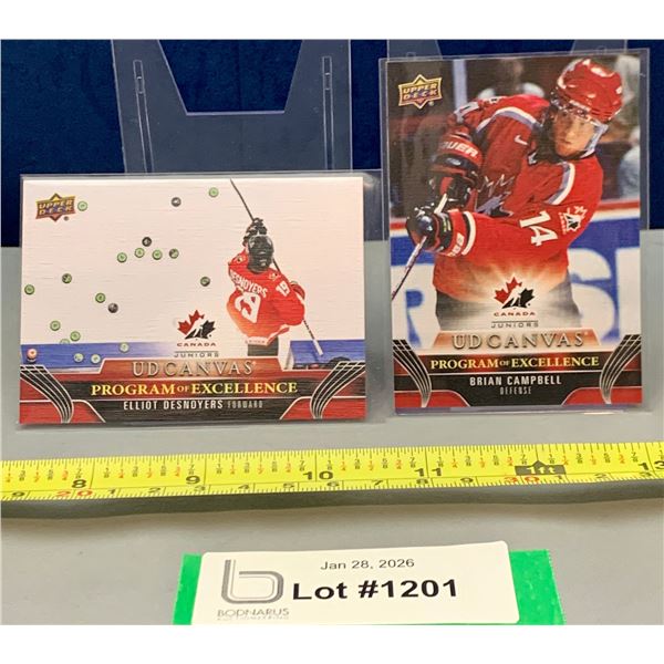 (2) Rare Team Canada Jrs Canvas Hockey Cards