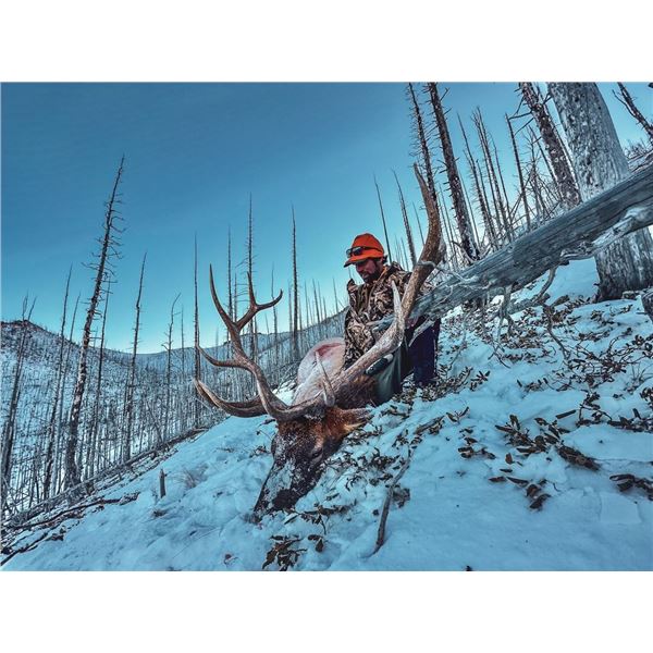 WWF 2026 Commissioner's Tag Auction