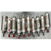 Image 1 : Lot of (10) Bimba Cylinders