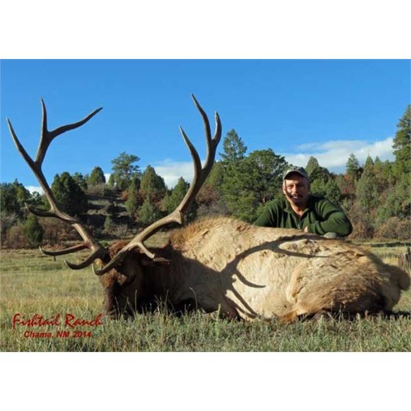 Premier New Mexico Bull Elk Hunt –Guaranteed License