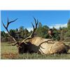 Image 1 : Premier New Mexico Bull Elk Hunt –Guaranteed License