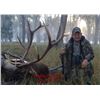 Image 2 : Premier New Mexico Bull Elk Hunt –Guaranteed License