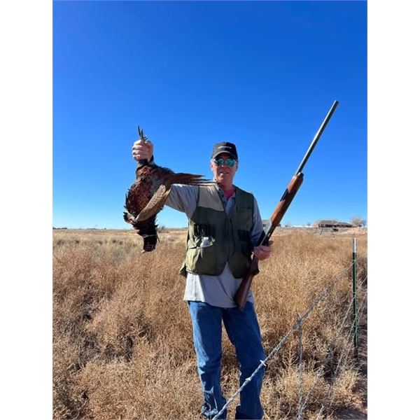 NEW MEXICO  ½ DAY PHEASANT HUNT