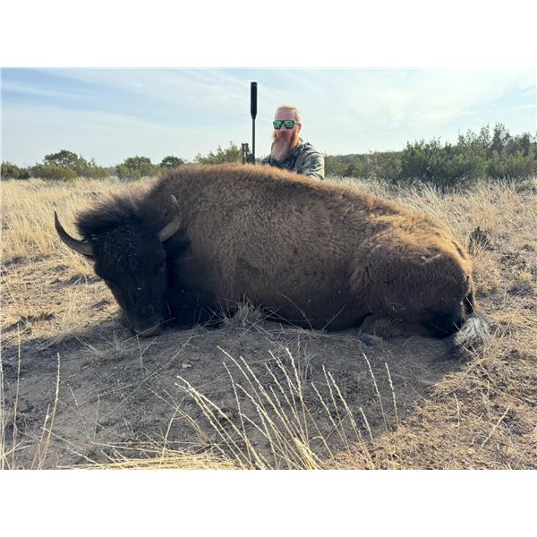 TEXAS- COW BISON HUNT