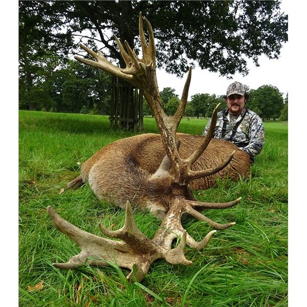 SCOTLAND- 7 DAY STAG HUNT FOR ONE HUNTER WITH AIRFARE