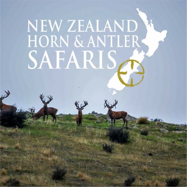 NEW ZEALAND  10 DAY RED STAG, BULL TAHR, ALPINE CHAMOIS HUNT FOR 1 – 4 HUNTERS