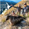 Image 2 : NEW ZEALAND  10 DAY RED STAG, BULL TAHR, ALPINE CHAMOIS HUNT FOR 1 – 4 HUNTERS
