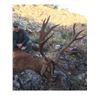 Image 3 : SPAIN- 3 DAY RED STAG HUNT