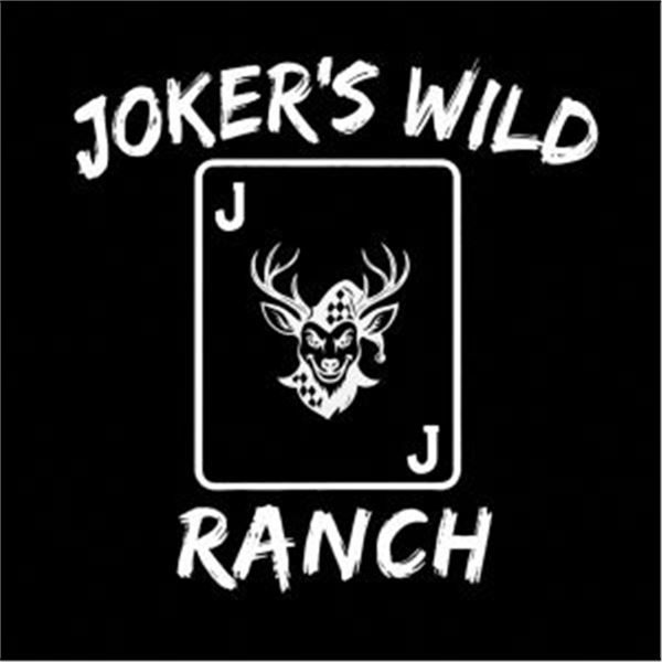 Texas-Trophy Fallow Deer