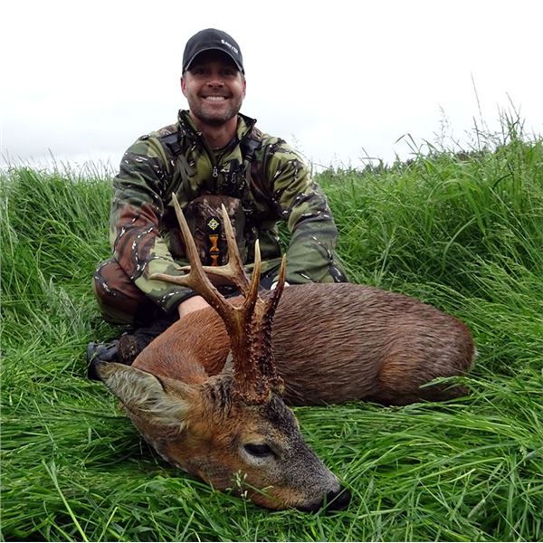 SCOTLAND- ROE DEER HUNT