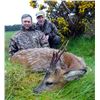 Image 2 : SCOTLAND- ROE DEER HUNT
