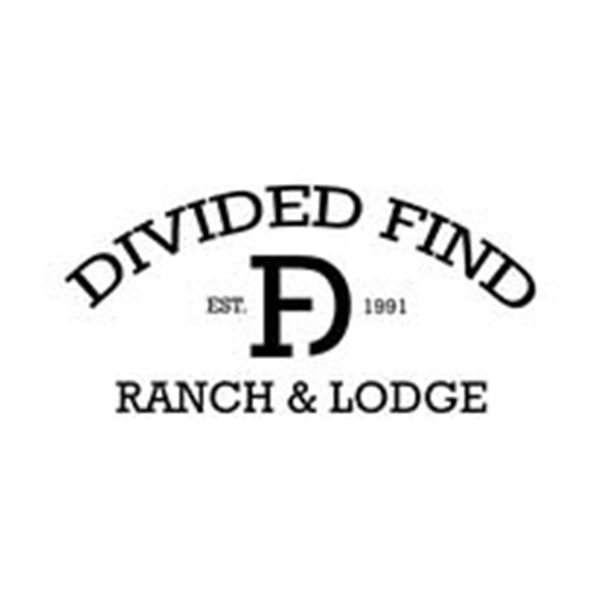 TEXAS-  HELICOPTER HOG HUNT