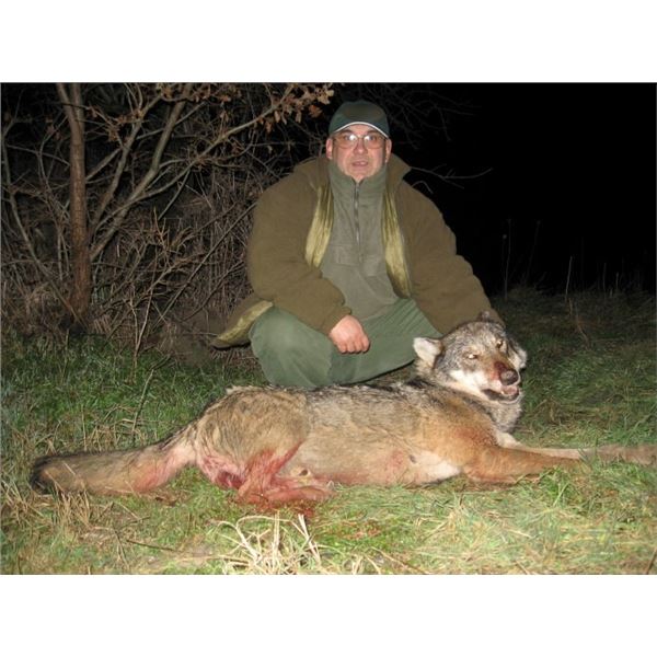 MACEDONIA- WOLF HUNT AND TOURING FOR TWO