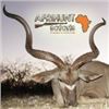 Image 1 : NAMIBIA-10 DAY PLAINS GAME HUNT
