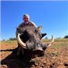 Image 3 : NAMIBIA-10 DAY PLAINS GAME HUNT