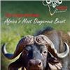 Image 3 : SOUTH AFRICA- CAPE BUFFALO HUNT