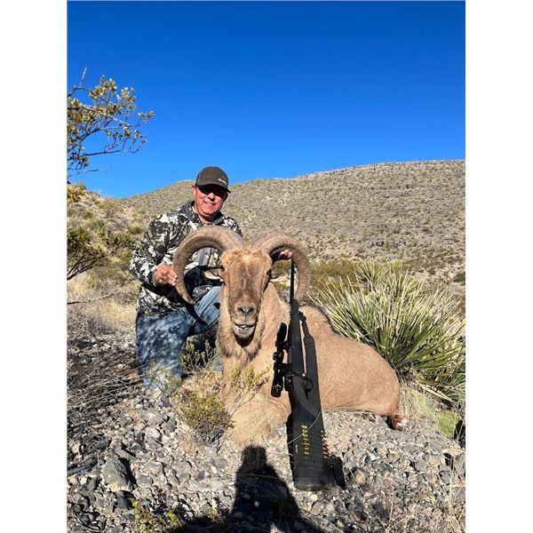NEW MEXICO AOUDAD HUNT