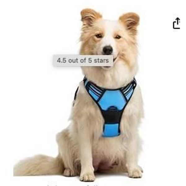 Rabbigo Dog Harness, Medium, Peacock Blue, Model DTCW036-M-CA