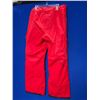 Image 5 : DC Banshee Kids Snowboard Pants Racing Red Sz Large
