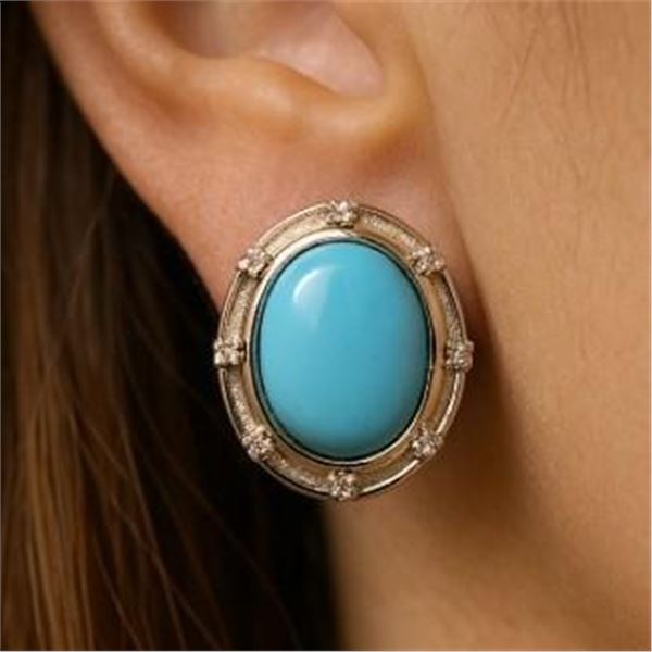 $240, SILVER(3.85g),  SLEEPING BEAUTY ARIZONA TURQUOISE EARRING, retail value $240